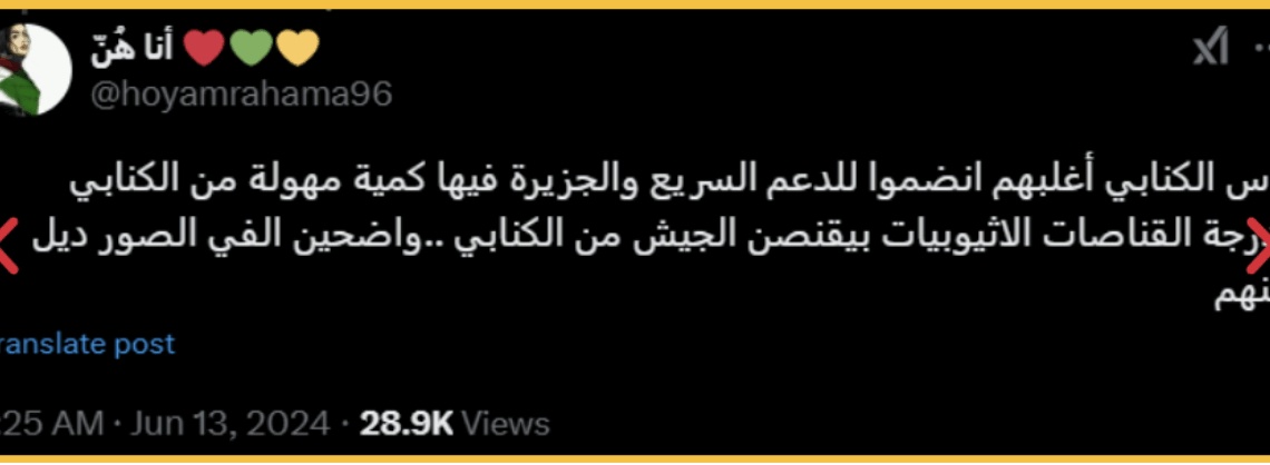 The Role of Tech Companies in Conflicts: The Deadly Consequences of Online Disinformation in SWANA