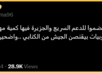 The Role of Tech Companies in Conflicts: The Deadly Consequences of Online Disinformation in SWANA