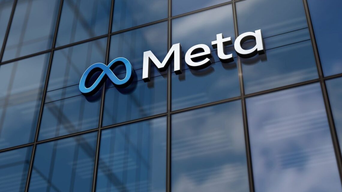 تأثير سياسات شركة ميتا على المدافعين عن حقوق الإنسان وعلى الحق في الدفاع عن حقوق الإنسان على منصات التواصل الاجتماعي فيسبوك وإنستغرام.